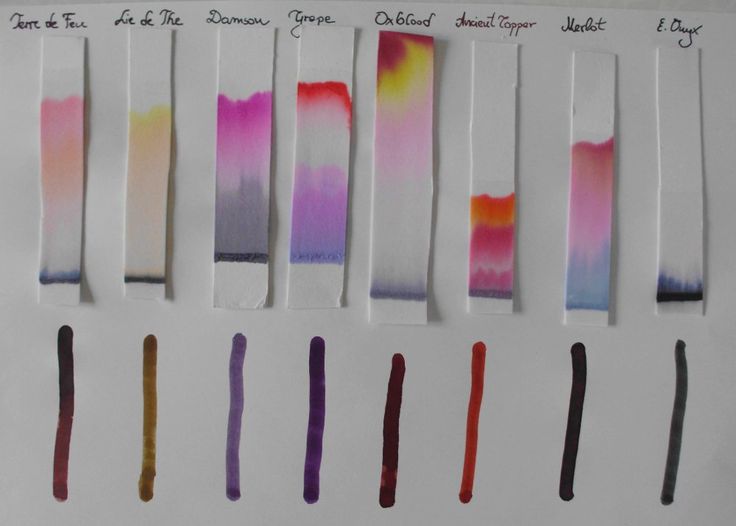 Paper Chromatography Lab With Screened Methyl Orange at Robin Deloach blog