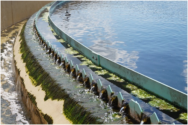 Wastewater Treatment