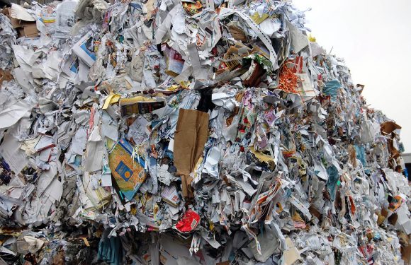 Recycling For A More Productive Paper Industry