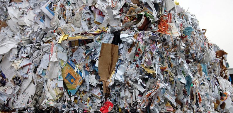 Recycling For A More Productive Paper Industry